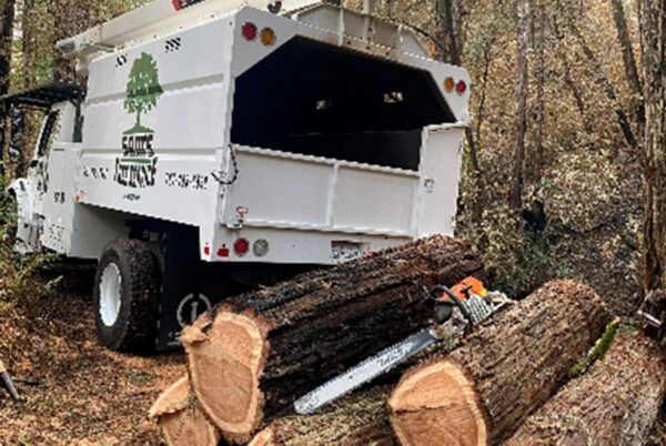Tree Service in Santa Rosa and Sonoma County | Sam's Tree Service