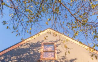 a home shadowed by a nearby tree with branches near it.
