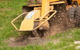 grinding machinery breaks down a small stump into wood chips.