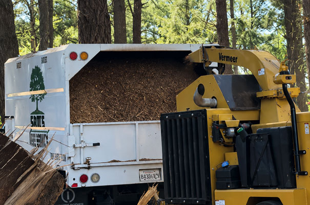 img brush wood Brush/Wood Chipping Service Santa Rosa CA