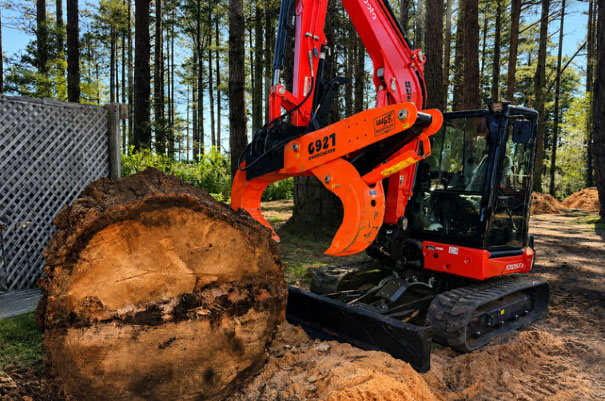img stump griding Expert Stump Grinder in Santa Rosa CA