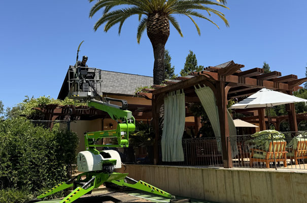 img tree pruning img tree pruning