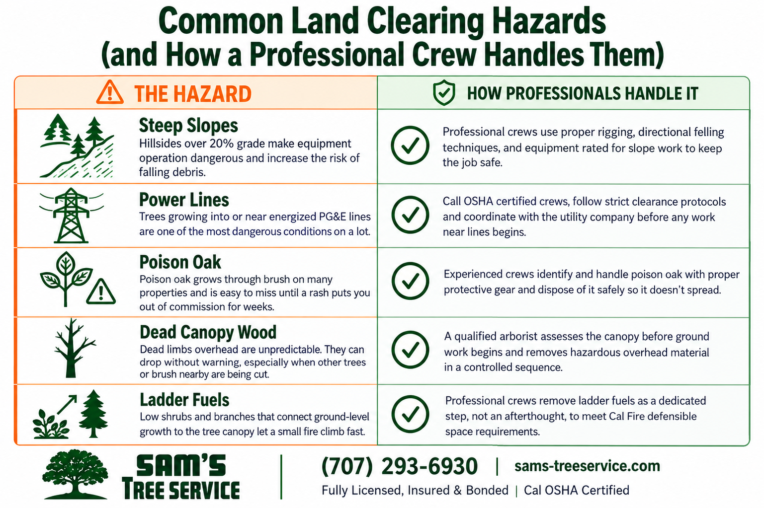 Common land clearing hazards infographic showing steep slopes, power lines, poison oak, dead canopy wood, and ladder fuels, with professional safety measures for each hazard.